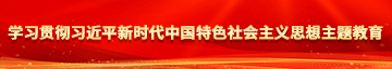 我用大棒干女生网站学习贯彻习近平新时代中国特色社会主义思想主题教育